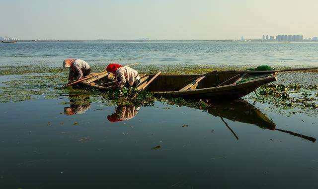 mt4现货黄金什么指标最好用